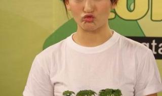 张杰谢娜何炅王勉参加的节目 张杰谢娜快乐大本营